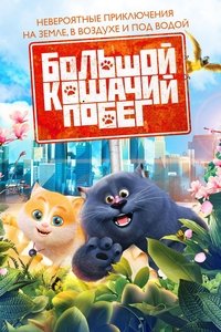 Большой кошачий побег