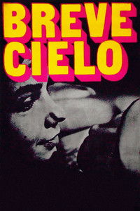 Breve cielo