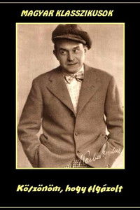 Köszönöm, hogy elgázolt