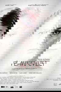 Синий цветок