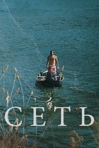 Сеть