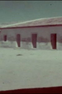 A Flor do Lácio é vadia