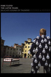 Pink Floyd: The Later Years, Vol 2 - Delicate Sound of Thunder