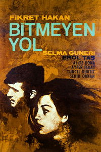 Bitmeyen Yol