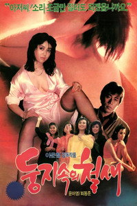 둥지 속의 철새