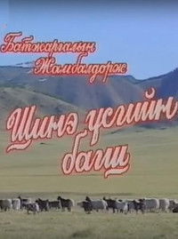 Шинэ үсгийн багш