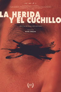 La herida y el cuchillo (Notas para un film sobre García Wehbi)