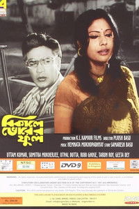 বিকেলে ভোরের ফুল