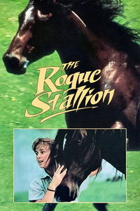 The Rogue Stallion
