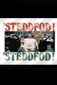 Steddfod! Steddfod!