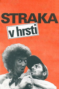 Сорока в кулаке