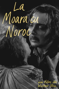 Счастливая мельница