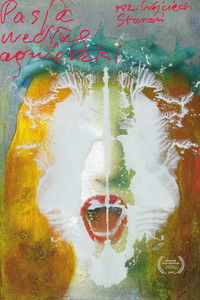 Pasja według Agnieszki