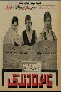 قانون زندگی