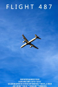 Flight 487