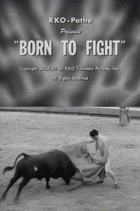 Born to Fight