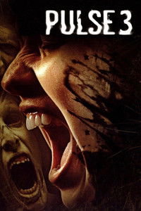 Пульс 3