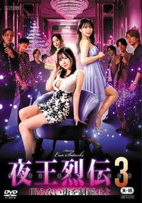 夜王烈伝3 眠らない街を制覇せよ