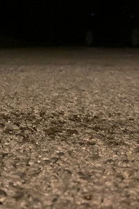 Puževi pažljivo prelaze put 2: Marljivi mravi marširaju (Puževi pažljivo prelaze put nightcore Lenin remix)