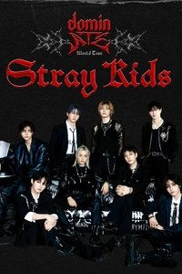Beyond Live — Stray Kids World Tour dominATE in SEOUL