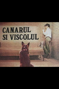 Canarul și viscolul
