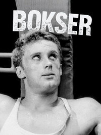 Bokser