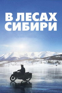 В лесах Сибири
