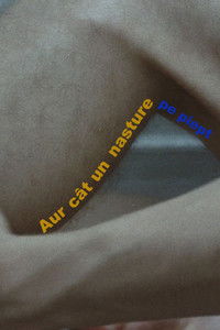 Aur cât un nasture pe piept