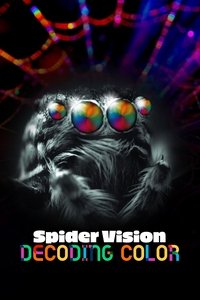 Spider Vision: Decoding Color