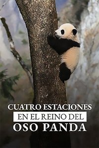4 Saisons Au Royaume Du Panda