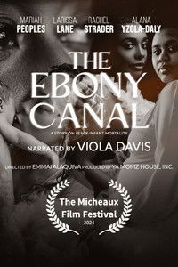 The Ebony Canal: A Story of Black Infant Mortality