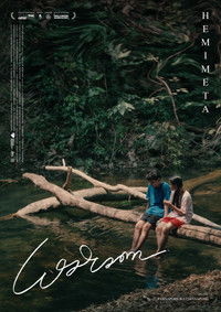 เฮมิเมตา