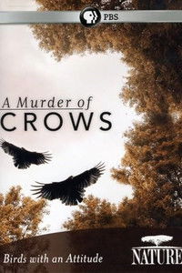 A Murder of Crows