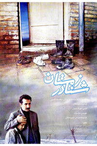 شنا در زمستان