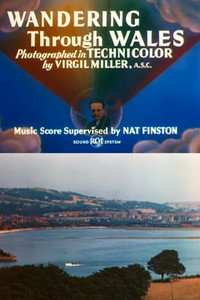 Wandering Through Wales