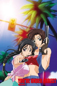 逮捕しちゃうぞ イン アメリカ