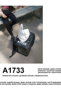 А1733