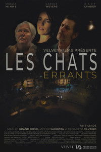 Les chats errants