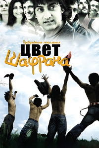 Цвет шафрана