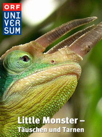 Маленькие монстры: Спрятаться и обмануть