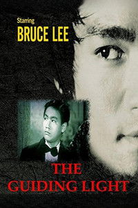 Проводник света