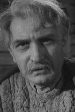 Александр Гай