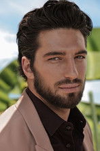 Альвисе Риго