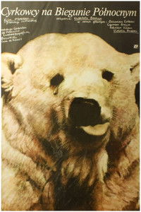 Акробат на Северном полюсе