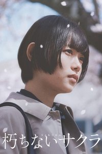 朽ちないサクラ