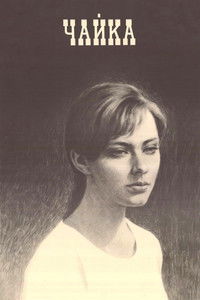 Чайка