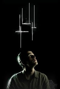 Lemniscata de les possibles causes