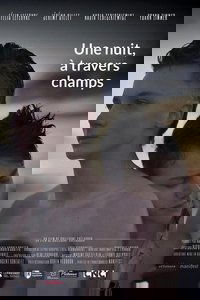 Однажды ночью через поля