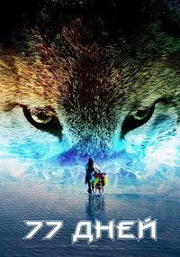 77 дней