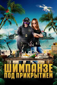 Шимпанзе под прикрытием